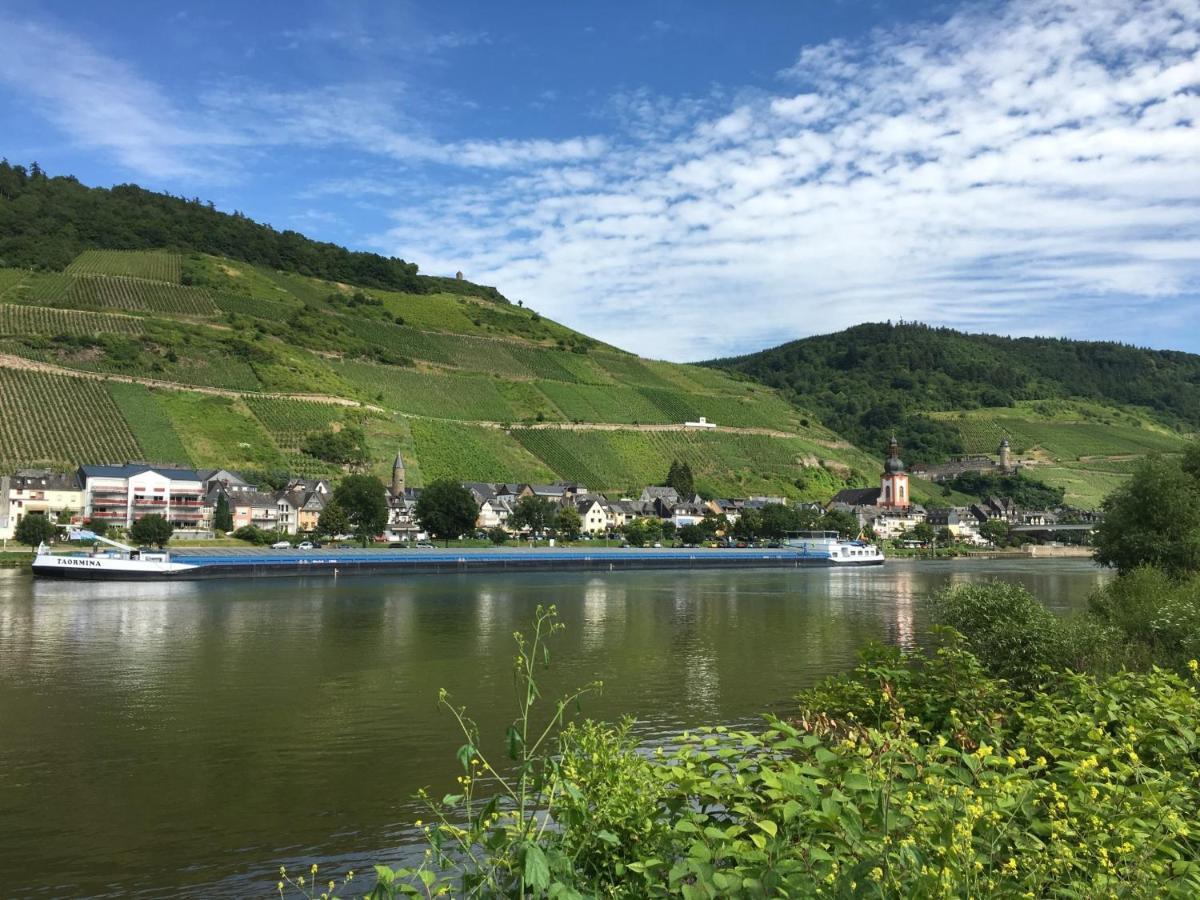Ferienhaus Am Moselradweg ツェル・アン・デル・モーゼル エクステリア 写真