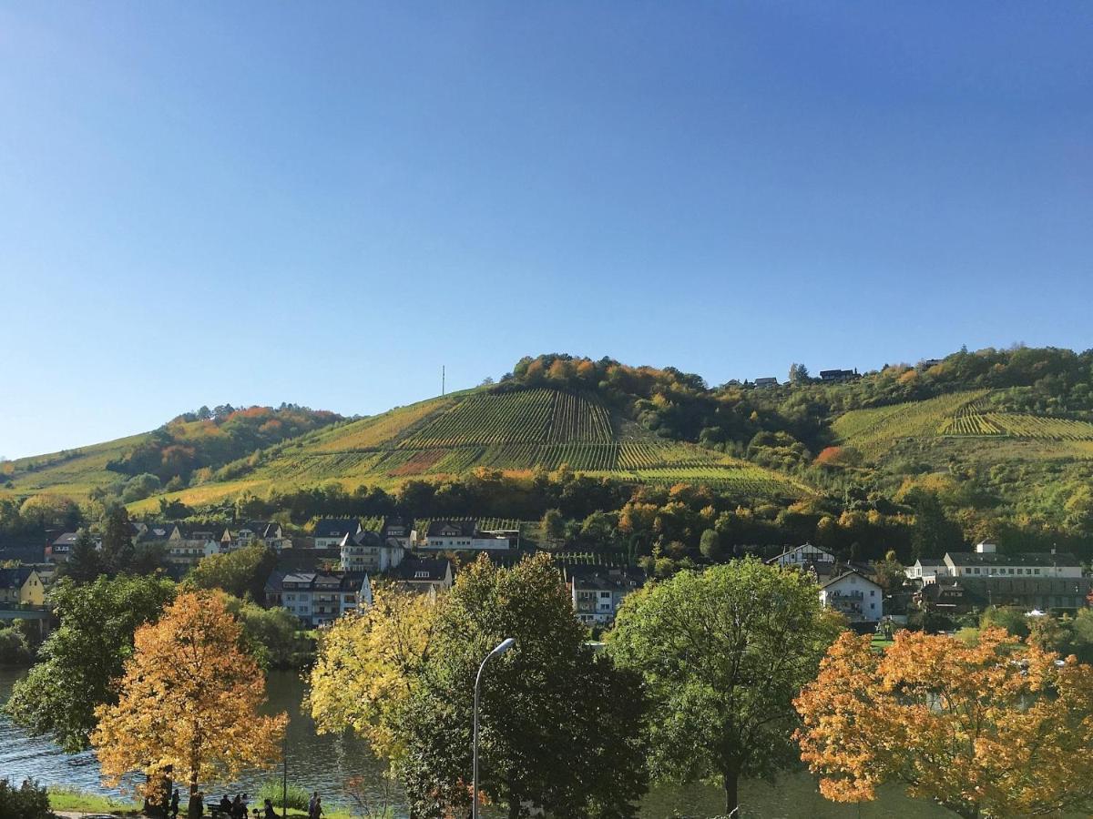 Ferienhaus Am Moselradweg ツェル・アン・デル・モーゼル エクステリア 写真