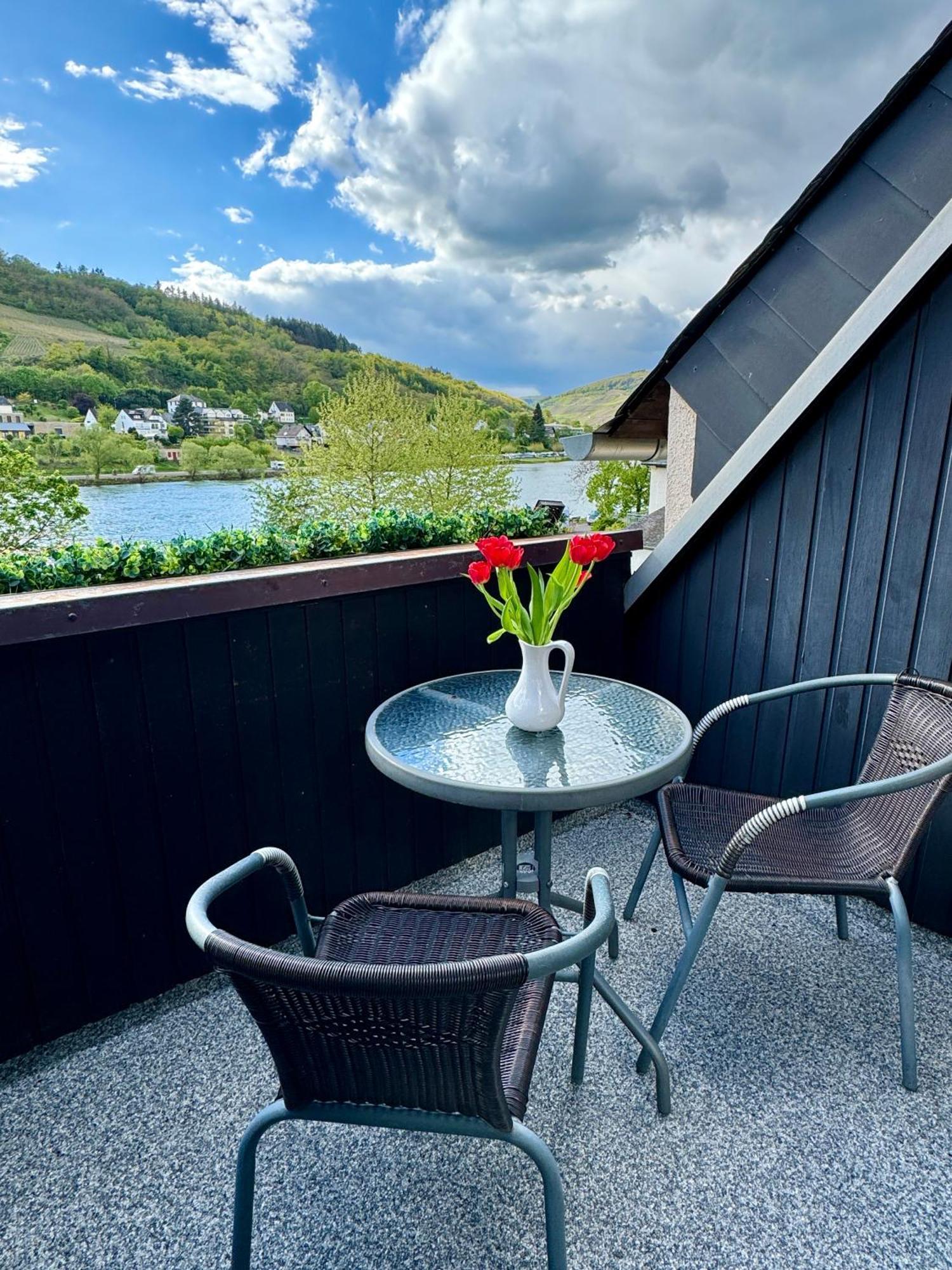 Ferienhaus Am Moselradweg ツェル・アン・デル・モーゼル エクステリア 写真